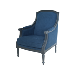 Xaviere Arm Chair